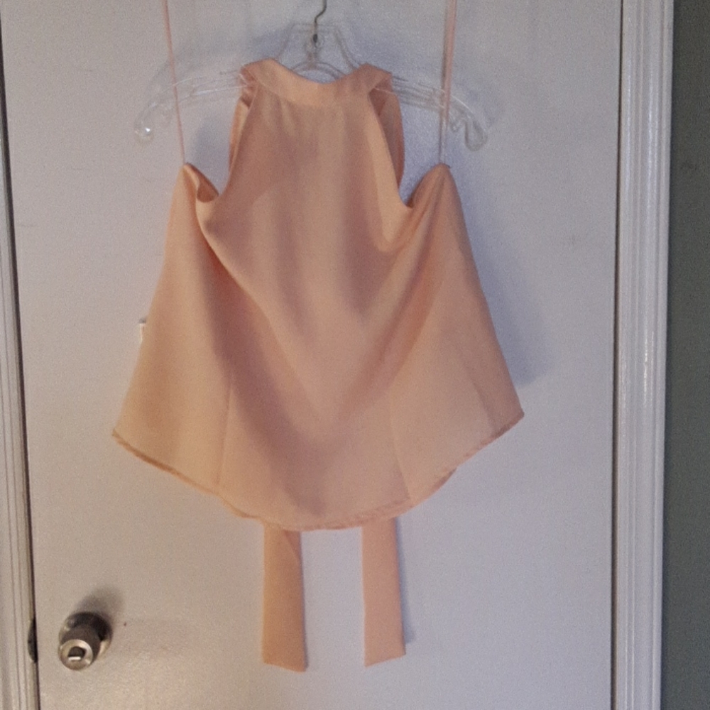 Beautiful blush blouse